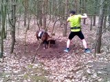 Trapped mouflon (wild sheep) rescued by a jogger