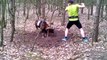 Trapped mouflon (wild sheep) rescued by a jogger
