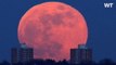 The Moon Will Become Blood Red Soon During a Total Lunar Eclipse