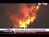 Kebakaran 388 Hektar, Ratusan Warga Santa Cruz Mengungsi