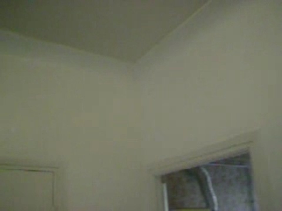 conseil papier peint et Peinture