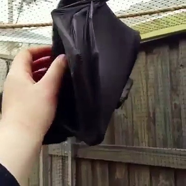 Please post where you're from so i can track how far the video has gone.