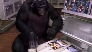 Nat Geo Animals - Ape Genius - Incredible Behaviors Part 2