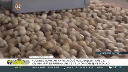 Fiskobirlik tüm fındıklara alım garantisi verdi