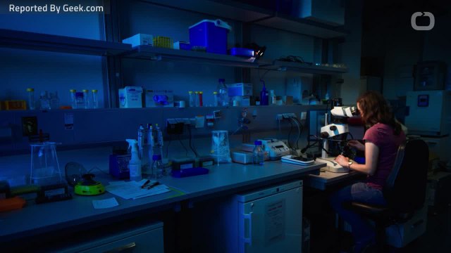 Study Suggest CRISPR Gene Editing Doing More Harm Than Good