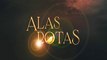 Alas Rotas (Broken Wings) - Latino - Capítulo 95 Completo
