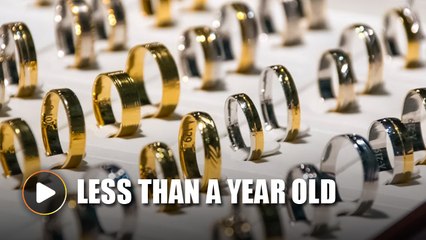 Lawyer denies Lebanese firm suing Rosmah is a front