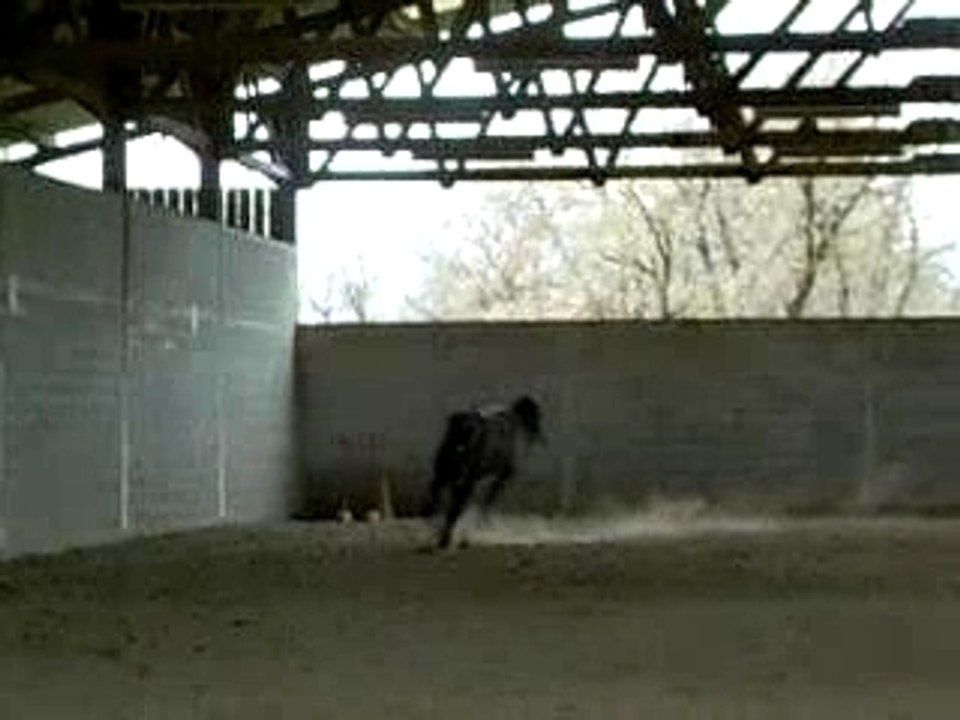 Highland se défoule !...