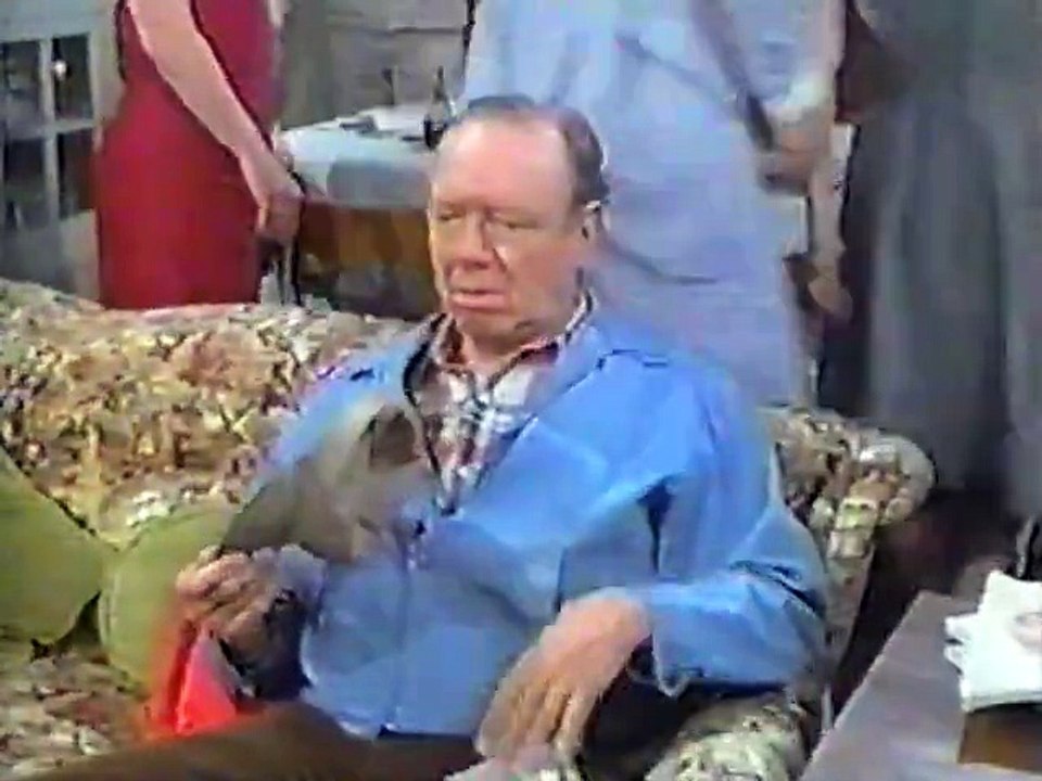 Mayberry RFD - S03E19 - The World Traveler - video Dailymotion