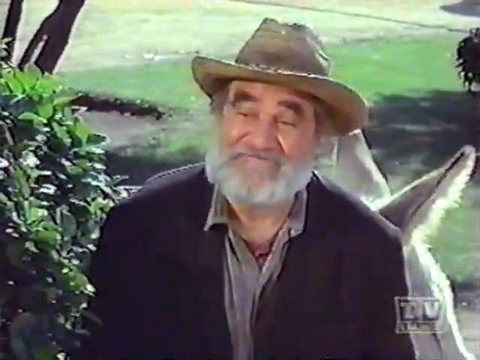 Mayberry RFD - S02E16 - The New Well