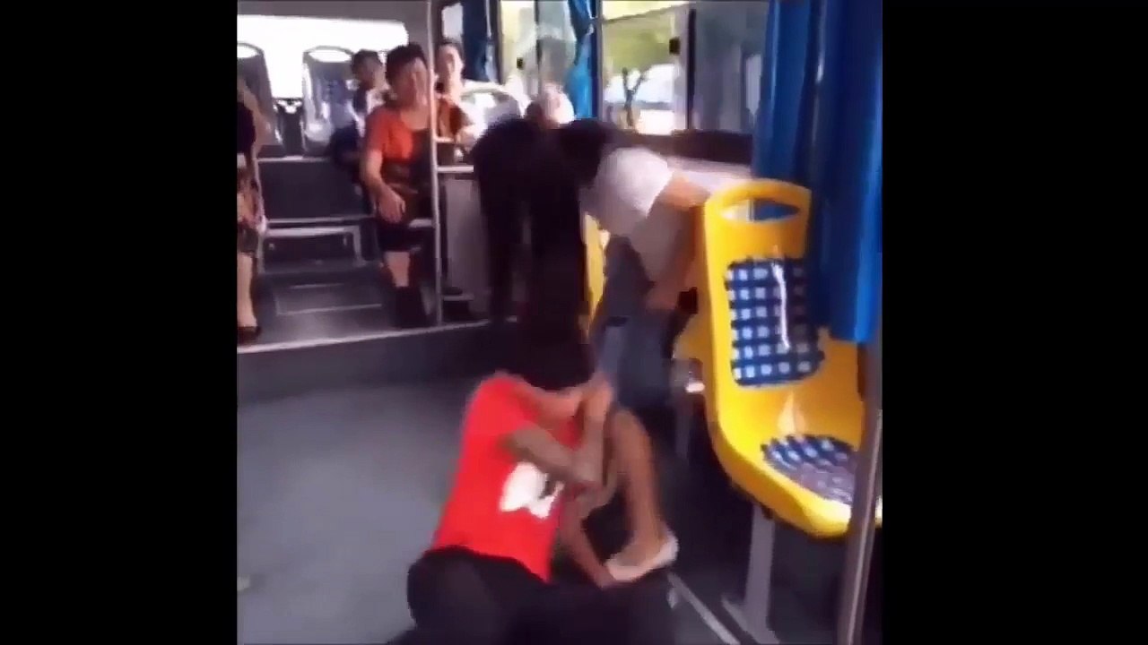 Best Funny Videos  HD