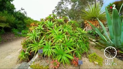 Jardin - Jardin Austral