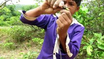 The First Primitive DIY Creative Snake Trap Using Bike Wheel Branches That Work 100% By Smart Boy