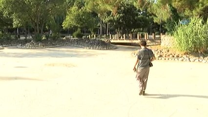 Temizlik İşçisinin Müzik Tutkusu