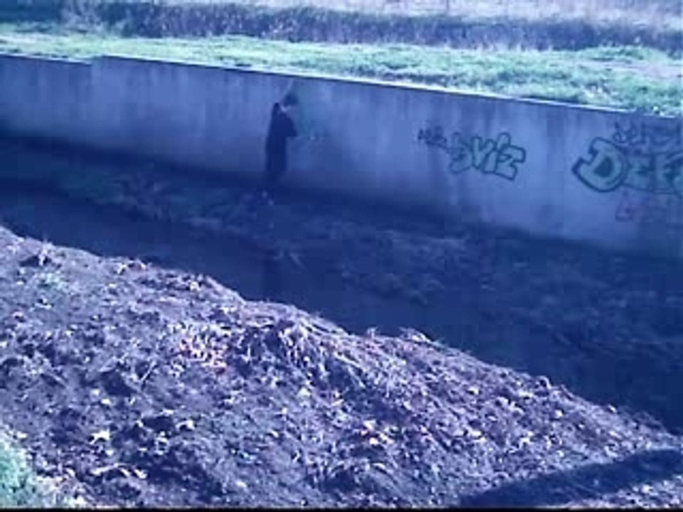 MPEG0009