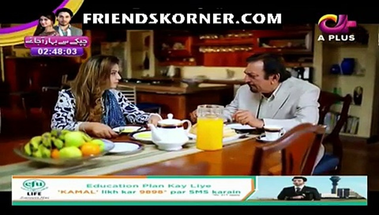 Kambakht Tanno Episode 101