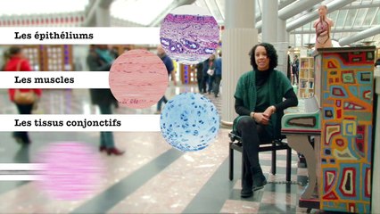 FUN MOOC : Introduction à l’histologie. Exploration des tissus du corps humain