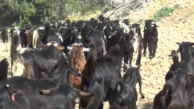 Yörüklerin Elektriği Güneş Enerjisinden