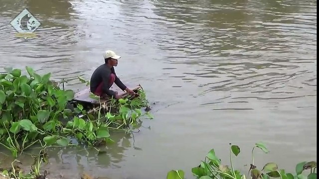 He_casts_net_to_Catch_