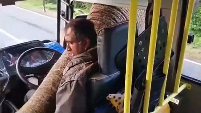 Un éléphant prend sa commission dans un bus