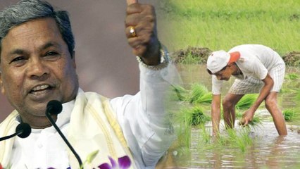 ಬಾದಾಮಿಯಲ್ಲಿ ರೈತರ ಕುಟುಂಬಕ್ಕೆ ಆರ್ಥಿಕ ನೆರವು ನೀಡಿದ ಸಿದ್ದರಾಮಯ್ಯ | Oneindia Kannada