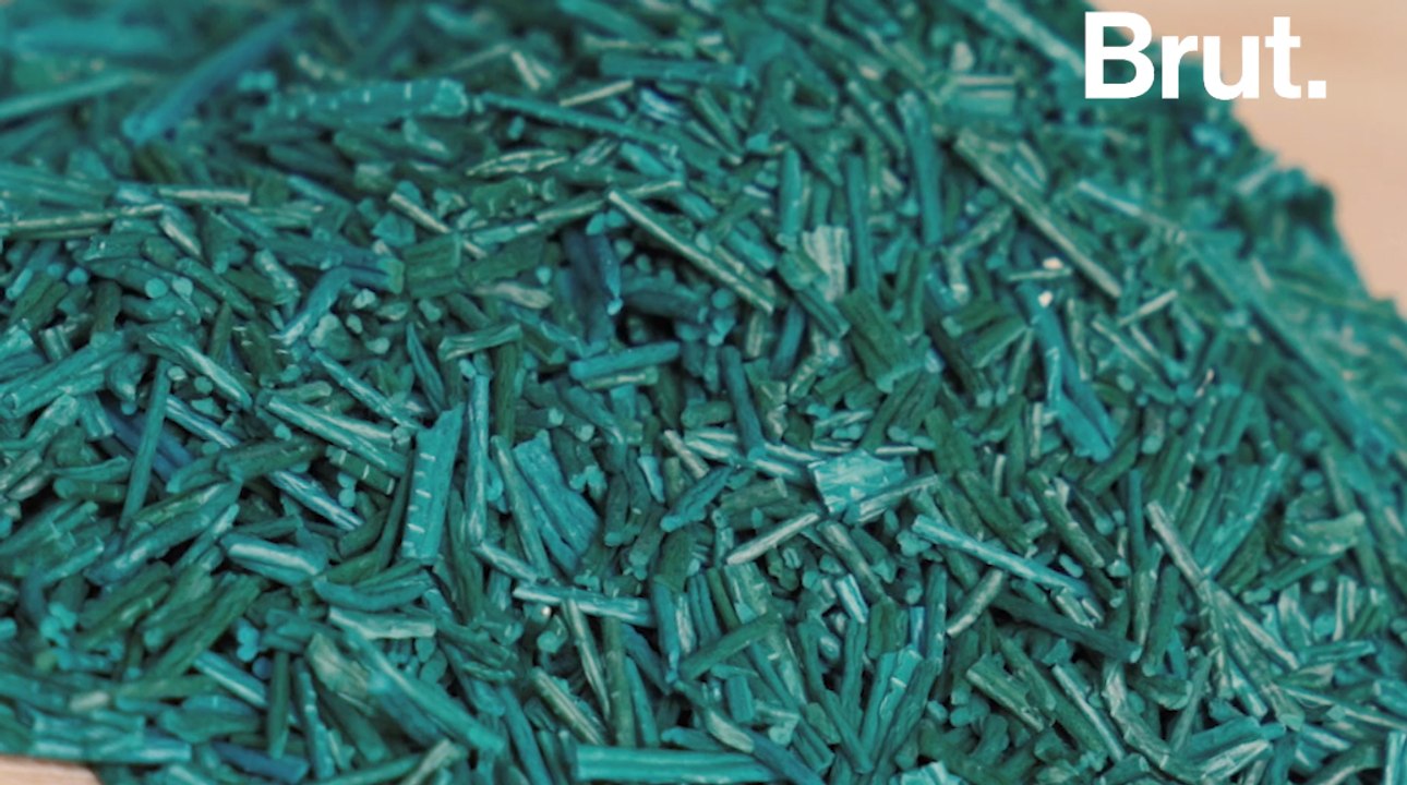 La spiruline : micro-algue et super-aliment