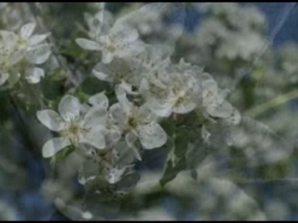 Printemps
