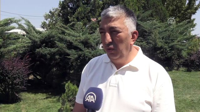 Hububatta rekolte yüz güldürüyor - KONYA