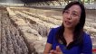 The Story of China Ancestors S01 - Ep01 Ancestors - Part 02 HD Watch