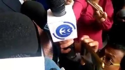 Vanda Pignato podria pugar de 1 a 4 años de ser encontrada culpable de este delito