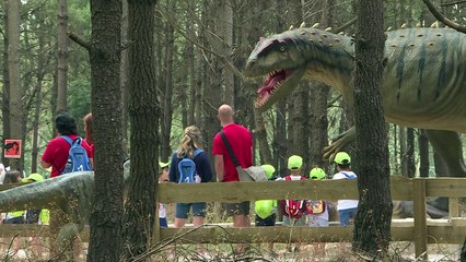 Skeletons and scares at Portugal's Dino Park