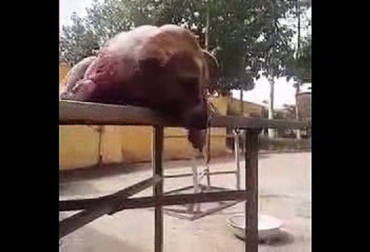 MỖI ÁC NGHIỆP LÀ MỘT TỜ GIẤY NỢ TRẢ ĐỜI NÀY HOẶC TRẢ MAI SAU VAY BAO THÌ TRẢ CŨNG BAO XƯA NAY NHÂN QUẢ LUẬT NÀO NỂ AI