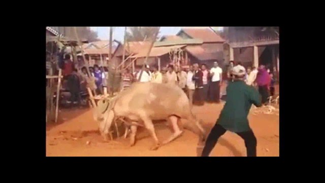 MỖI ÁC NGHIỆP LÀ MỘT TỜ GIẤY NỢ TRẢ ĐỜI NÀY HOẶC TRẢ MAI SAU VAY BAO THÌ TRẢ CŨNG BAO XƯA NAY NHÂN QUẢ LUẬT NÀO NỂ AI