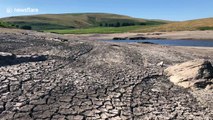 UK dries up in heatwave as hosepipe ban set to hit parts of England