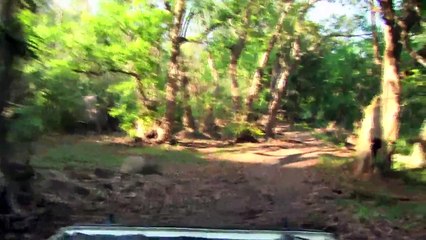 Journeys in India- Kaziranga