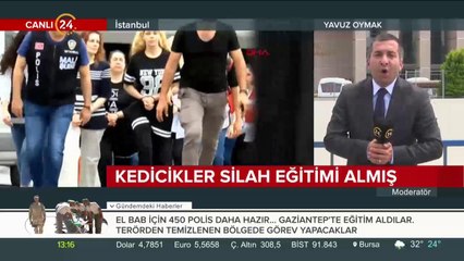 Örgütün iç yüzünde neler var?