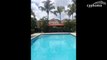 NEW CLASSIFIEDCole Bay 1BR/1BA Furnished Apt Gated Comunity PoolRentals - Cole BayPrice, Info and contact by clicking on >> cypho.ma/cole-bay-1br-1ba-furnish