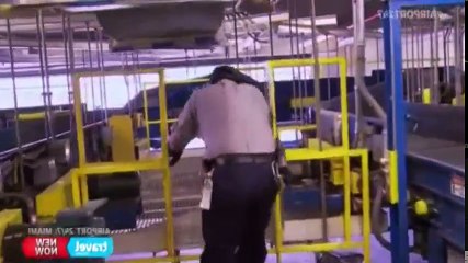 Airport 247 Miami S02 - Ep13 Guns And Money HD Watch