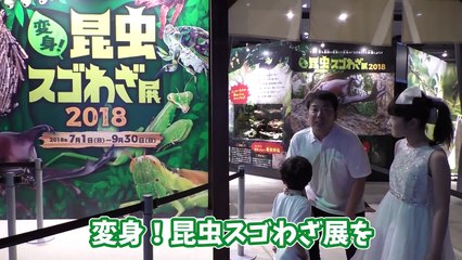 ★オービィ横浜で「ひめちゃんがカマキリに！おうくんがセミに！」★