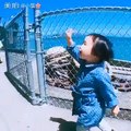 Baby super eating machine Chinese - Xiaoman小蛮 playing with seagulls