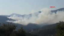 İzmir Bayındır'daki Yangında 45 Hektarlık Orman ve Zeytinlik Alan Yandı