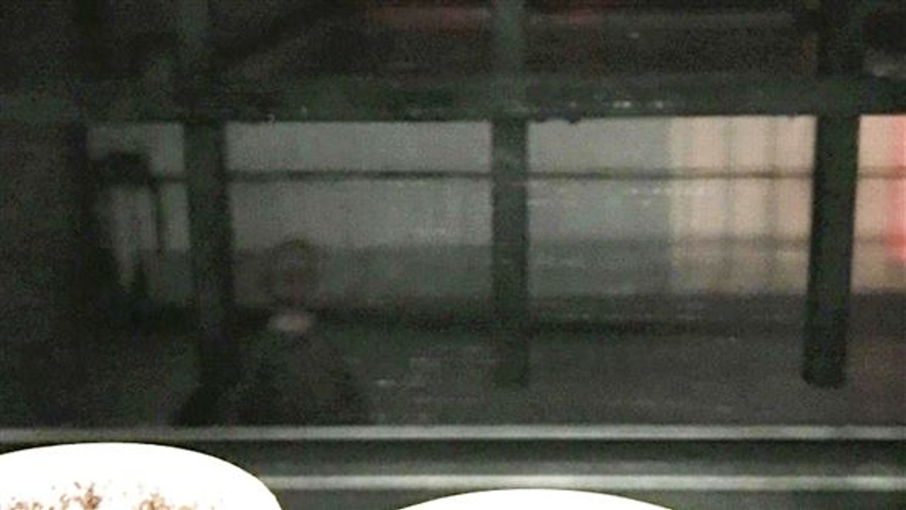 Twitter mystery: unheimliche geschichten mit 280 zeichen