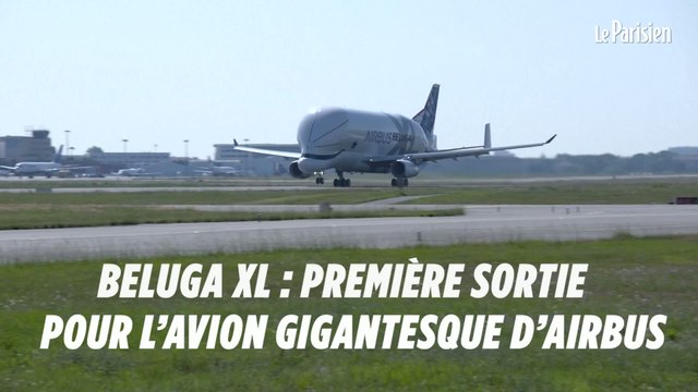 Beluga XL : première sortie pour l’avion gigantesque d’Airbus