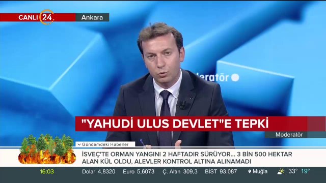 Yahudi ulus devlet e tepki