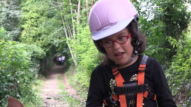 Une séance de bien-être grâce au cheval