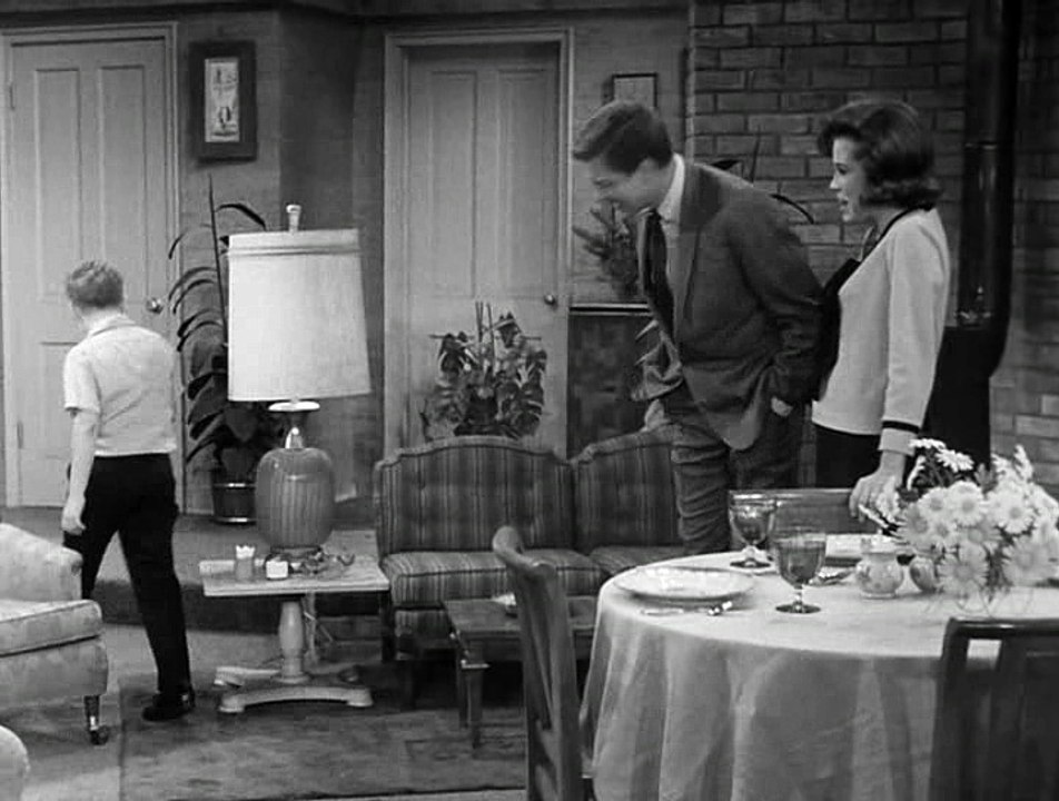 Dick van Dyke 136 - Go Tell the Birds and the Bees