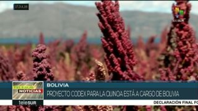 teleSUR noticias. Asesinan a otro líder social en Colombia