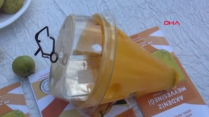 Osmaniye Narenciye Üreticilerine Sinek Tuzakları Dağıtıldı