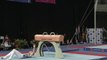 2016 Australian Gymnastics Championships LUKE WIWATOWSKI (VIC) Pommel Horse