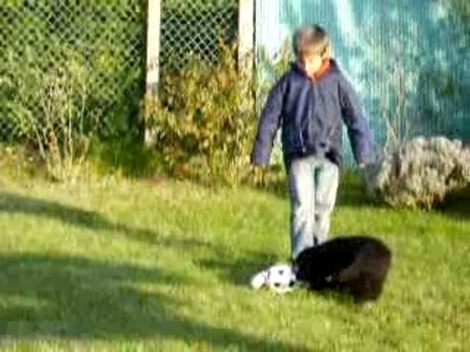 Chuppa Chups decouvre le jardin
